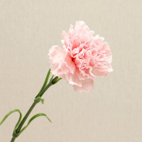 Artificial Carnation Realistic Fake Silk Flower Stem Wedding Party Indoor Outdoor Faux Flower Decoration Mother's Day Teachers' Day Gift