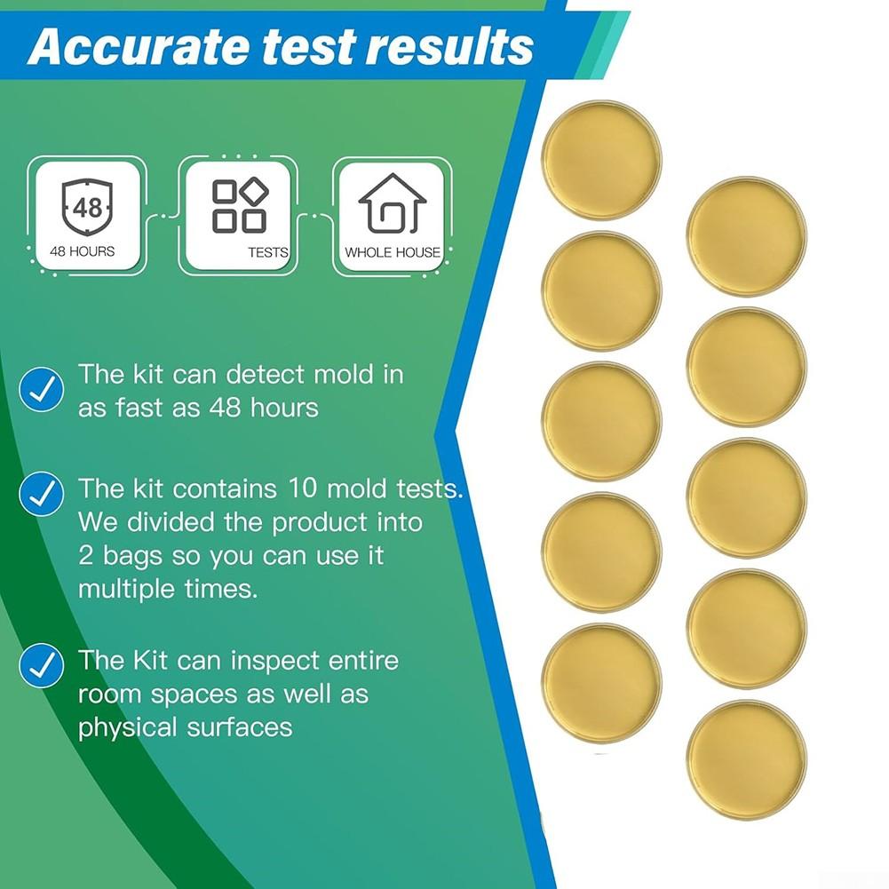 Reliable For Mold Detection In Homes Comprehensive DIY Kit Featuring 10 Tests