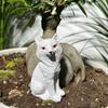 Sitting Foxes Figurines Garden Foxes Statue Landscape Decors Animal Figurines Sculpture Table Centrepieces Home Decors