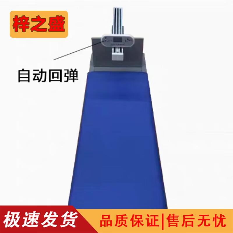 Zizhisheng Electronic Sit-and-Reach Tester