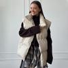 Women Winter Warm Padded Coat Solid Sleeveless Loose Demi-season Jacket For Women's 2024 Autumn New Casual Parka Street Outdoor Jackets Woman Clothes