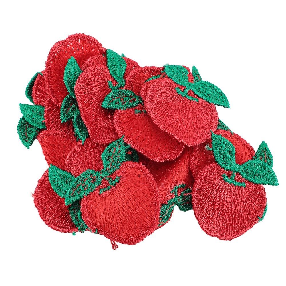 4pcs Embroidered Embroidered Lace Ribbon Fruit Fruit Embroidered Lace Trim Clothing Decor