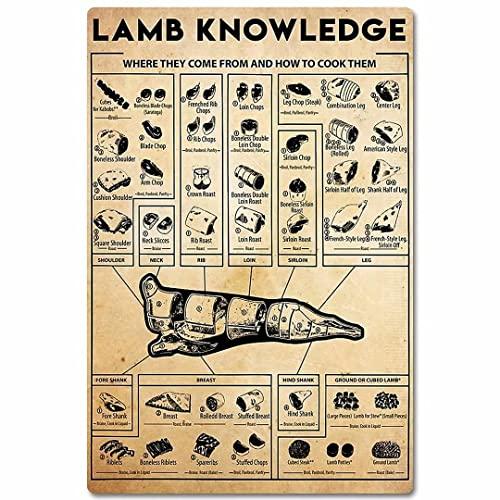 Veidsuh Ball Python Knowledge Retro Vintage Tin Sign Metal Sign Decoration Metal Poster Plaque for Bar Cafe Club Garage in sign