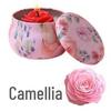 Tin Can Soy Wax Scented Candle Gift Set with Plant Essential Oils for Long-Lasting Indoor Fragrance