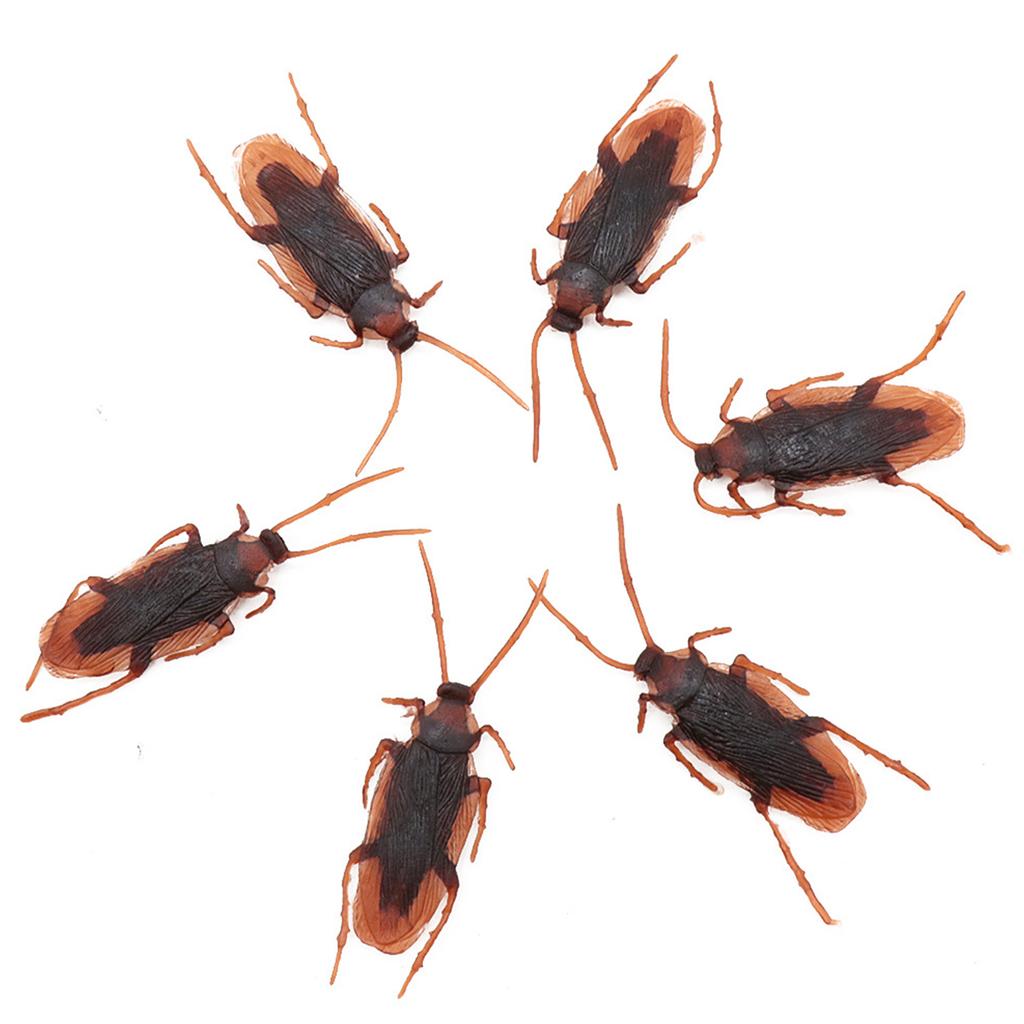 5/10/20/50PCS Simulate Cockroach 7*2cm Decorative Bug Halloween Prank Cockroachs Prop Party Haunted House DIY Decoration Toy ZYF