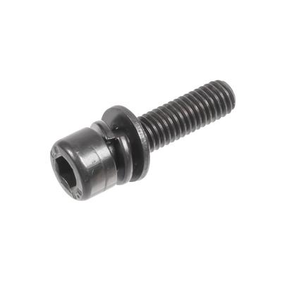 Ignition Module Screw Cedrus Blower Dm02 070187