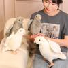 Cute Simulation White Pigeon Doll Plush Toy Little White Pigeon Carrier Pigeon Doll Children Accompany Soothing Doll