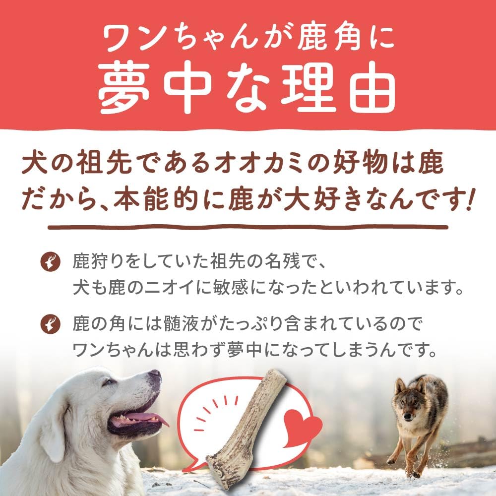 Maruichi Okada Shoten Deer Antler Dog Hokkaido (Large)