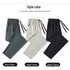 Jeanswest Men's Summer Ice Silk Quick-Dry Straight-Leg Casual Pants