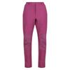 Regatta Womens/Ladies Questra IV Stretch Hiking Trousers