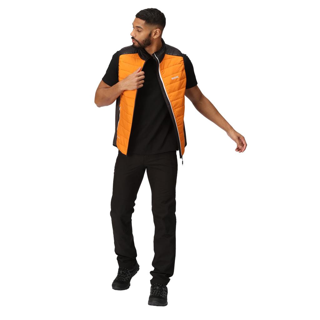 Regatta Vestă căptușită Halton VII pentru bărbați