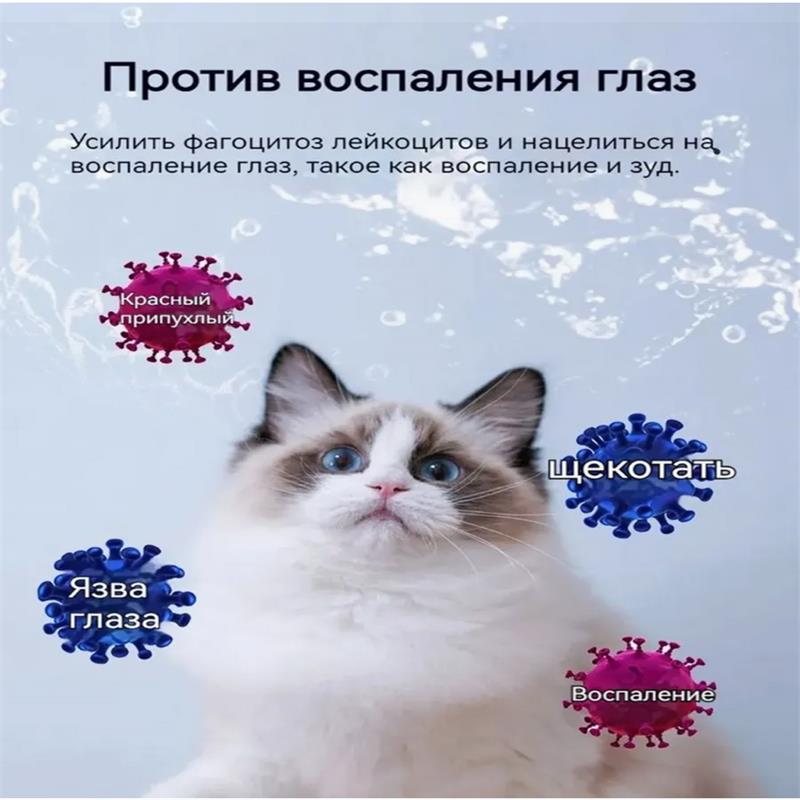 Effective Cat Eye Treatment Drops 20ml Natural Remedy for Itchy Eyes Discharge Cloudiness Vet Recommended