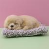 Simulated Kitten Meow Bamboo Charcoal Deodorizing Plush Cushion for Car & Home Decoration