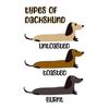 Adorable Cartoon Dachshund Dog Poster Print  Kawaii Animal Canvas Painting  Fun Wall Art for Kids Bedroom  Home Decor