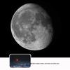 Jumelles Celestron Haute Puissance HD avec Support pour Téléphone
