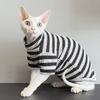 Maglione a strisce caldo invernale per gatti senza pelo Devon Rex Gatto domestico Strato base