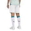 Puma Mens World Cup 2026 Portugal FC Away Shorts