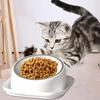 Modern Stainless Steel Pet Dish Set for Small Animals