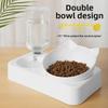 2-in-1 Automatic Pet Water Feeder & Bowl for Cats and Dogs