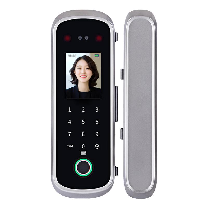 Realand Smart Facial & Palm Recognition Glass Door Lock