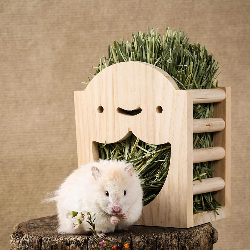 Chinchilla Hamster Hanging Cute Standing Hay Box Hay Dispenser Rabbit Feeder Stand Holder