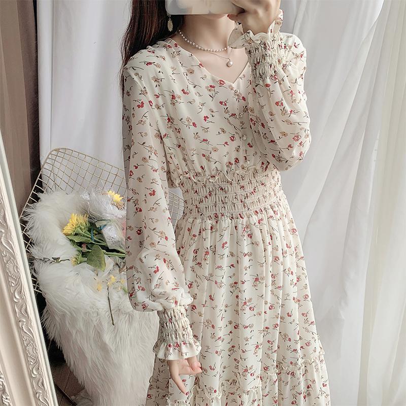 Autumn Spring Two Layers Dresses Fashion Female Printed Floral Long Sleeve  V-neck A-line Casual Dress Women Chiffon Dresses With Lining  buy the best  products in the Ayzeze online store