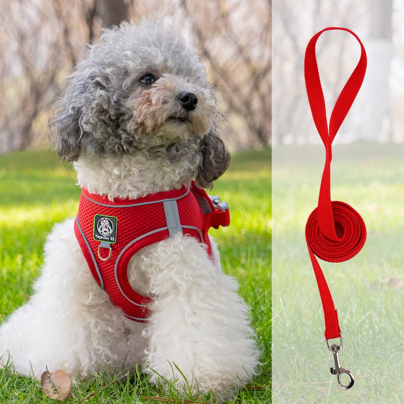 Vest-Style Harness and Leash Set for Small Dogs: Bichon, Teddy, Pomeranian