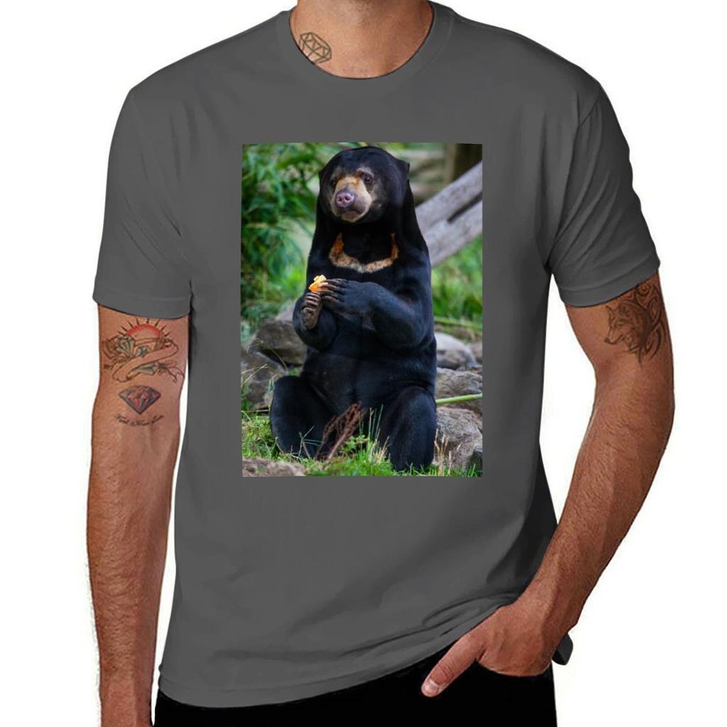 Malayan Sun Bear Contemplating TShirt Simple Solid Color Crew Neck Tee