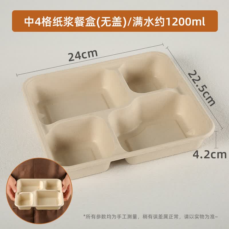 Hanyou Degradable Sugarcane Pulp 4-Compartment Takeaway Food Container