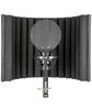 sE Electronics X1S Studio Bundle