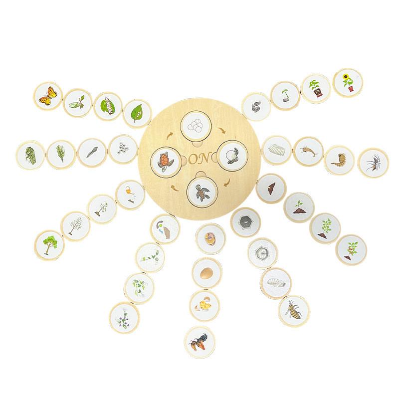 

Деревянный Монтессори Пазл Жизненный Цикл Детей Развивающая Игрушка Когнитивное Развитие