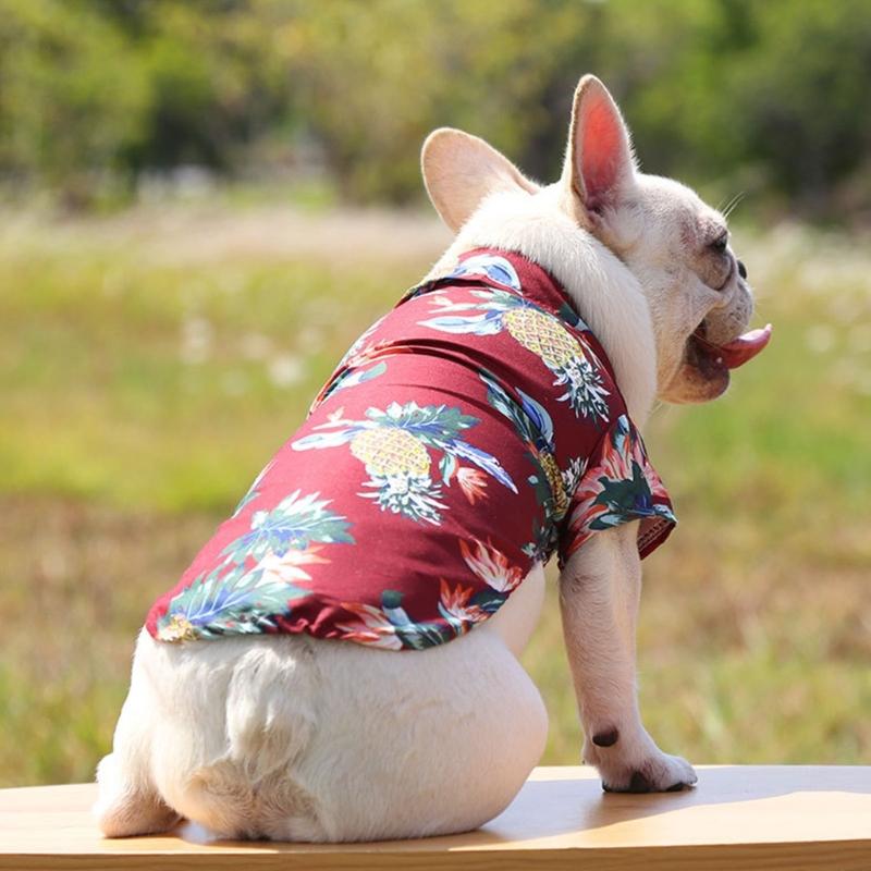 Lovely Puppy Beach Shirt Shirt T-shirt Shirt Pineapple Beach Outfit Shirt Costume Pet Outfit Party