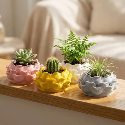 Decoración para el hogar
 – Macetas decorativas