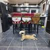 Christmas Chair Back Elastic Stretch Cover Santa Clause Holiday Party Decor Dining Kitchen Chair Covers Christmas Decoration