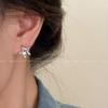 2024 Super Sparkly Star Zircon Stud Earrings: Niche High-End Fashion Design