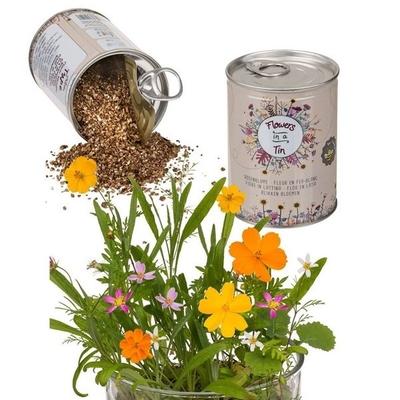 Can with Meadow Flower Seeds for Planting