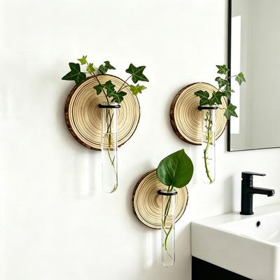 3 Stück Wandmontiertes Pflanzen-Terrarium Vermehrungsstation Klarer Zylinder Hängendes Reagenzglas Pflanzer Innen Dekorative Blumenvase für Badezimmer Büro