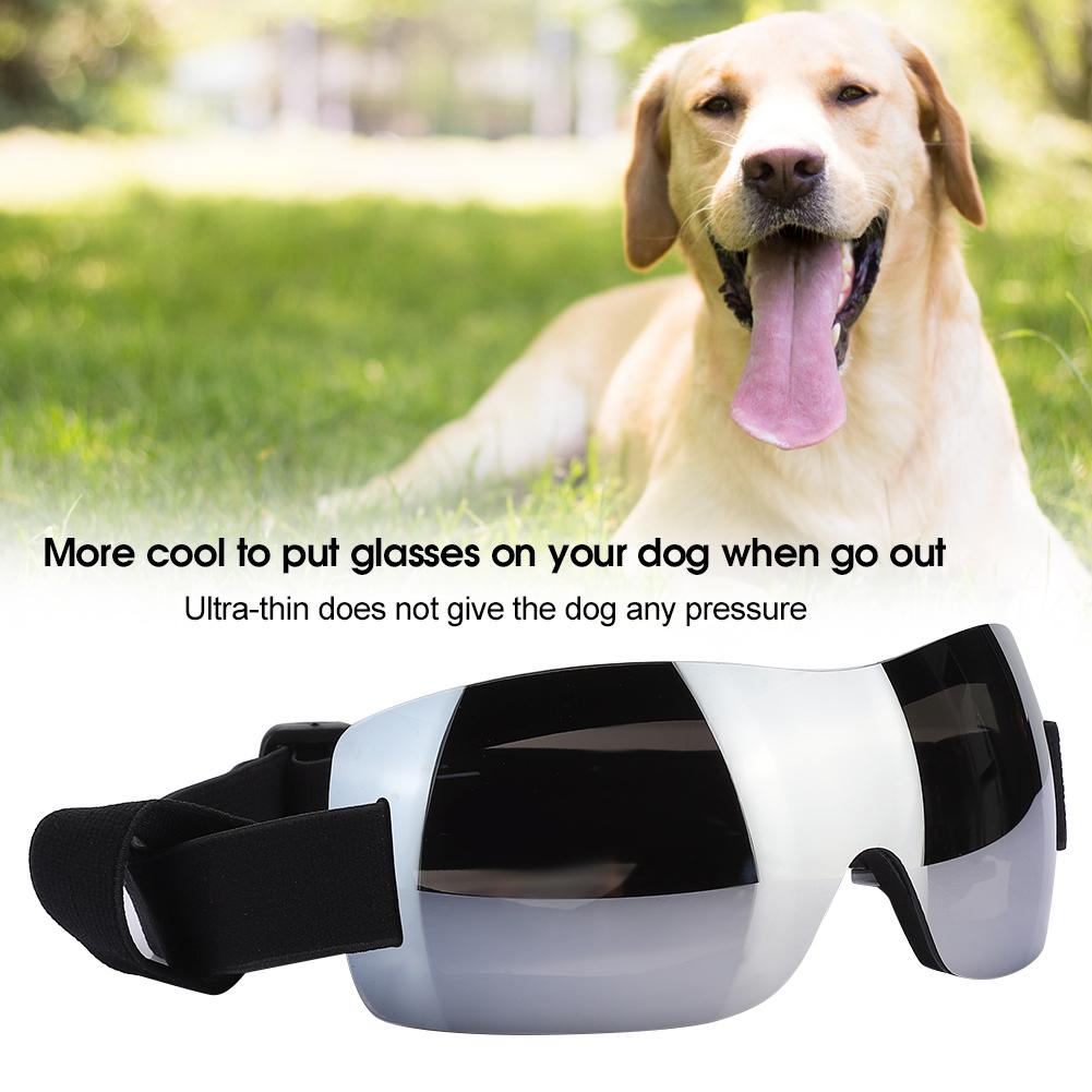 FS SP 05 Plastic Professional Pet Wide View Adjustable Webbing Anti UV Protection Glasses for Large Dogs(Silver )