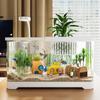 Fischtank mit Deckel - Transparentes Desktop-Aquarium für Goldfische und Schildkröten, Perfekt für Zuhause oder Wohnzimmerdekoration.