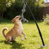 Langlebige Federstangen für Hunde mit elastischen Leinen Outdoor-Spielzeug Bewegung Spaß im Hof Gärten Sicher für große Hunde