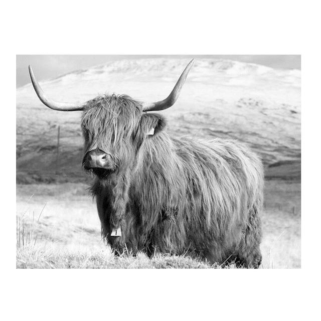 Black and White Highland Cow Cattle Canvas Painting Nordic Posters and Prints Wall Art Pictures for Living Room Home Decoration No Frame