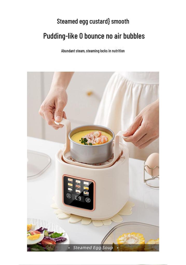 Multi-Functional Mini Egg Cooker for Breakfast, Steamed Egg Cooker 110V, USA, Japan, Taiwan, Canada