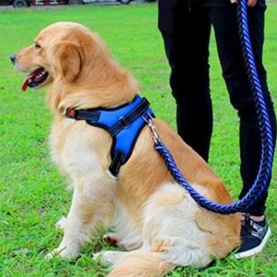 Purple Pet Puppy Large Dog Medium Dog L-Type Harness + Leash Set L, Blue
