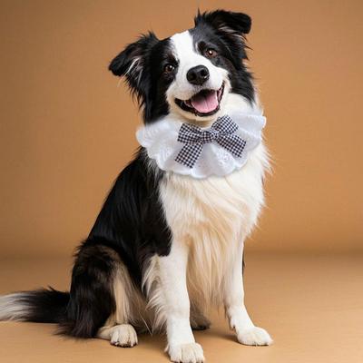 Colletto Bavaglino in Pizzo per Animali Domestici Bandana Regolabile con Fiocco Sciarpa Dolce in Pizzo Fatta a Mano per Accessori per Travestimenti di Compleanno di Animali Domestici