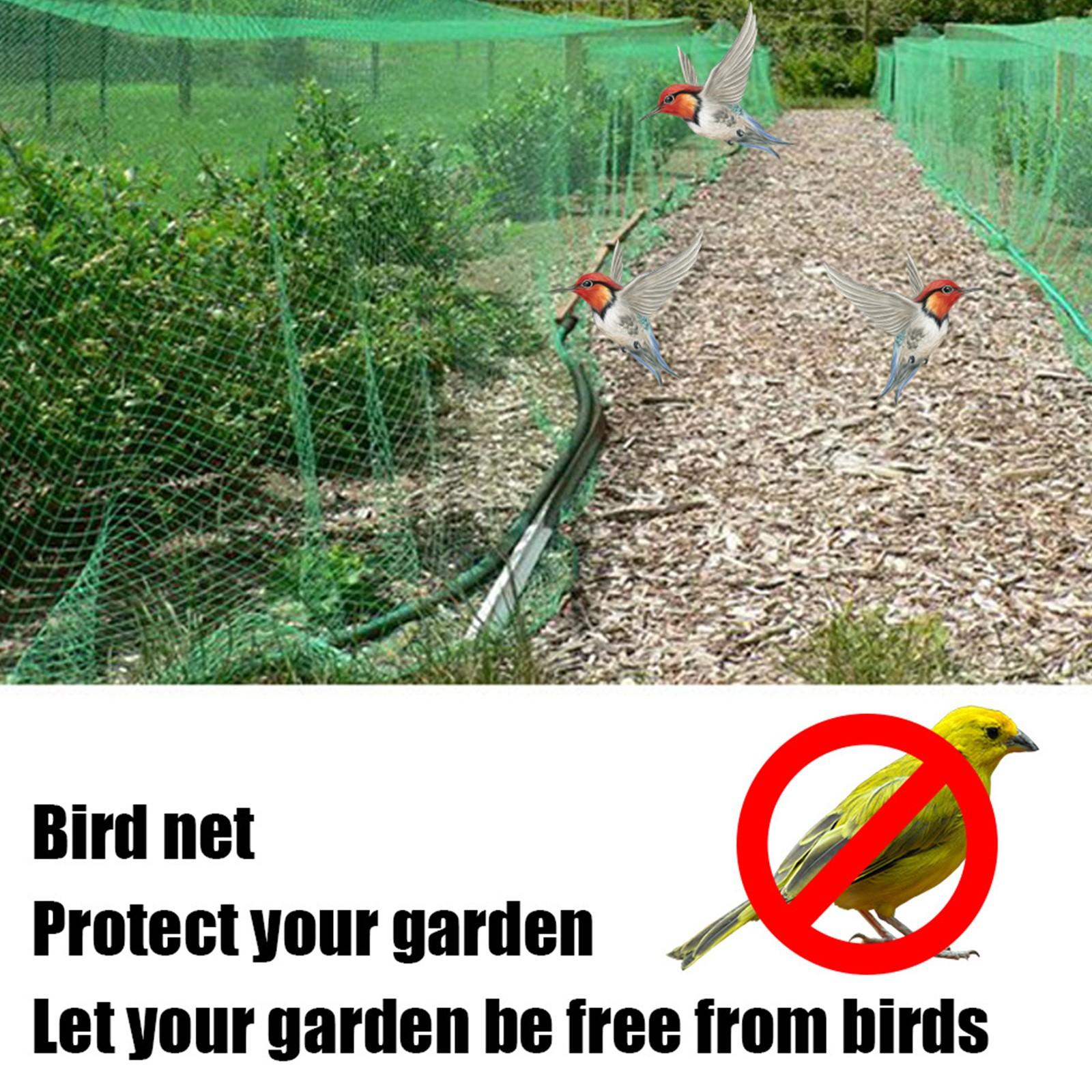 Зеленая сетка для защиты птиц защищает птиц от грызунов — фото 8