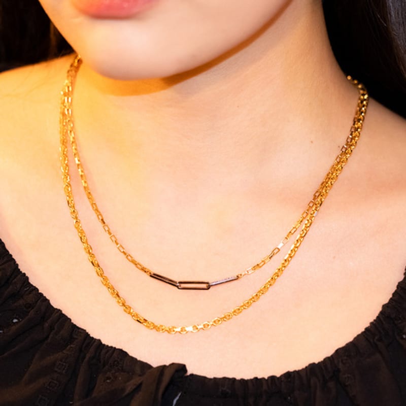 BE/GINS [925 Silver]La Ligne Two Tone clip chain Necklace