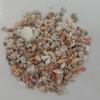 Mixed Spiral Sea Shell Beads 200/400/1000Pcs Natural Assorted Craft Beads for DIY Jewelry Making Fish Tank Decor