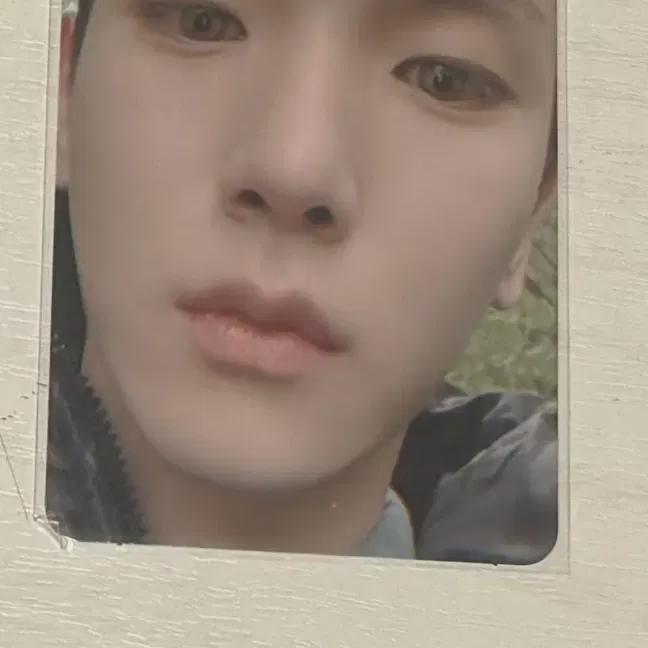 

SHINee Ключевая фотокарточка