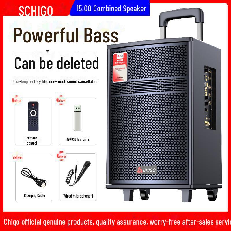 Chigo High-Power Outdoor Bluetooth Trolley Speaker for Music & Karaoke