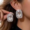Silver Needle Rhinestone Geometric Stud Earrings - Light Luxury, High-End, Niche Personality Ear Ornaments for Women.